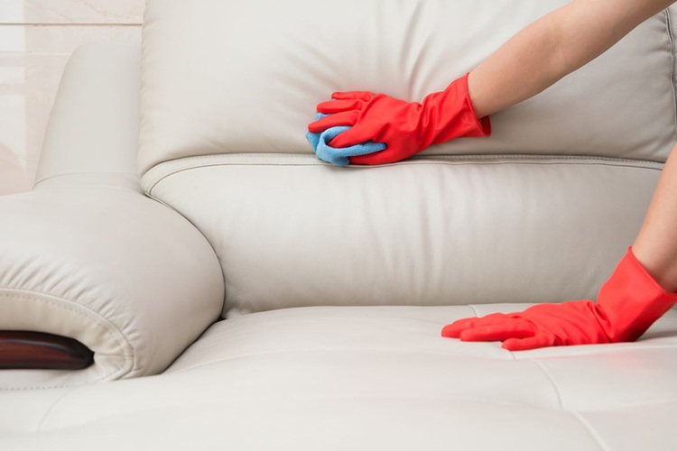 Membersihkan debu sofa kulit, Sumber: kompas.com